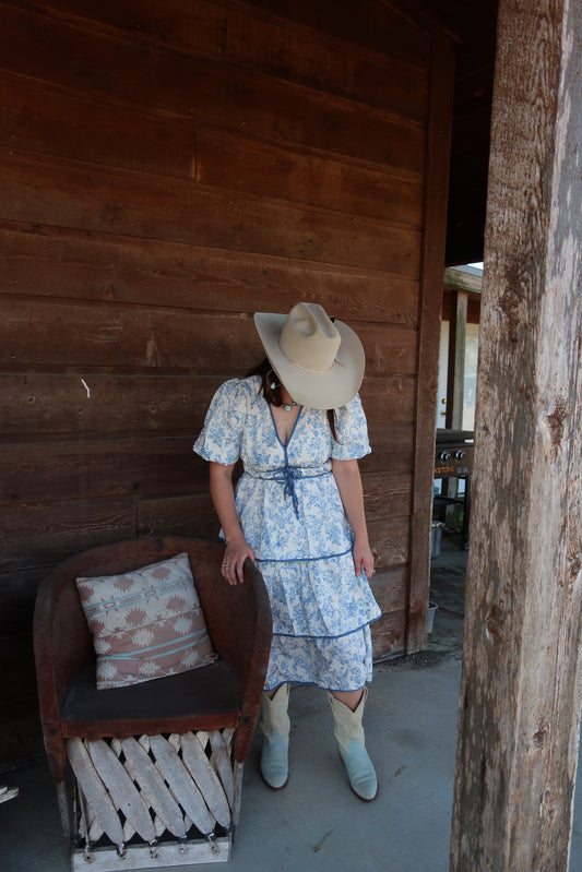 Hilton Horse Print Dress