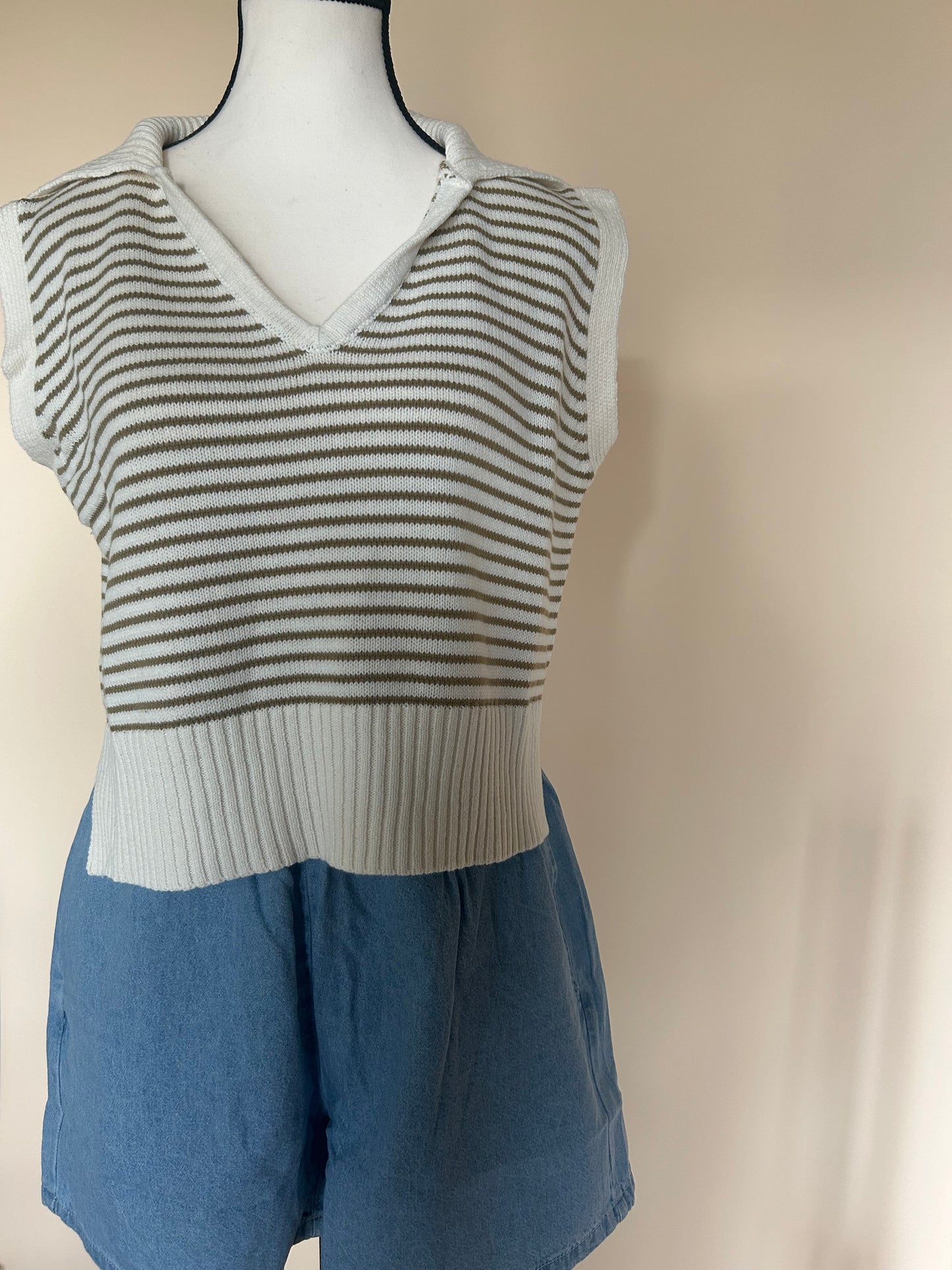 The Wonder Stripe Collar Sweater Vest
