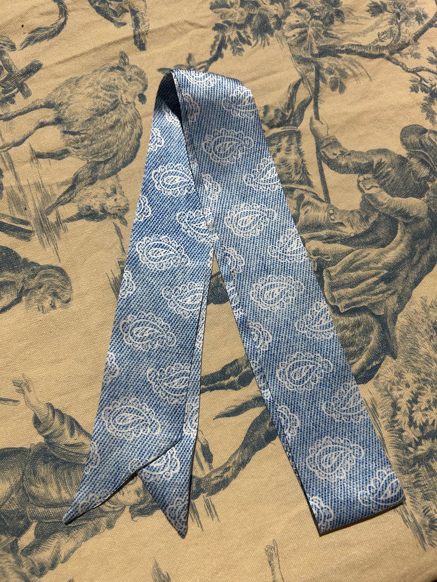 The Paisley Denim Twilly