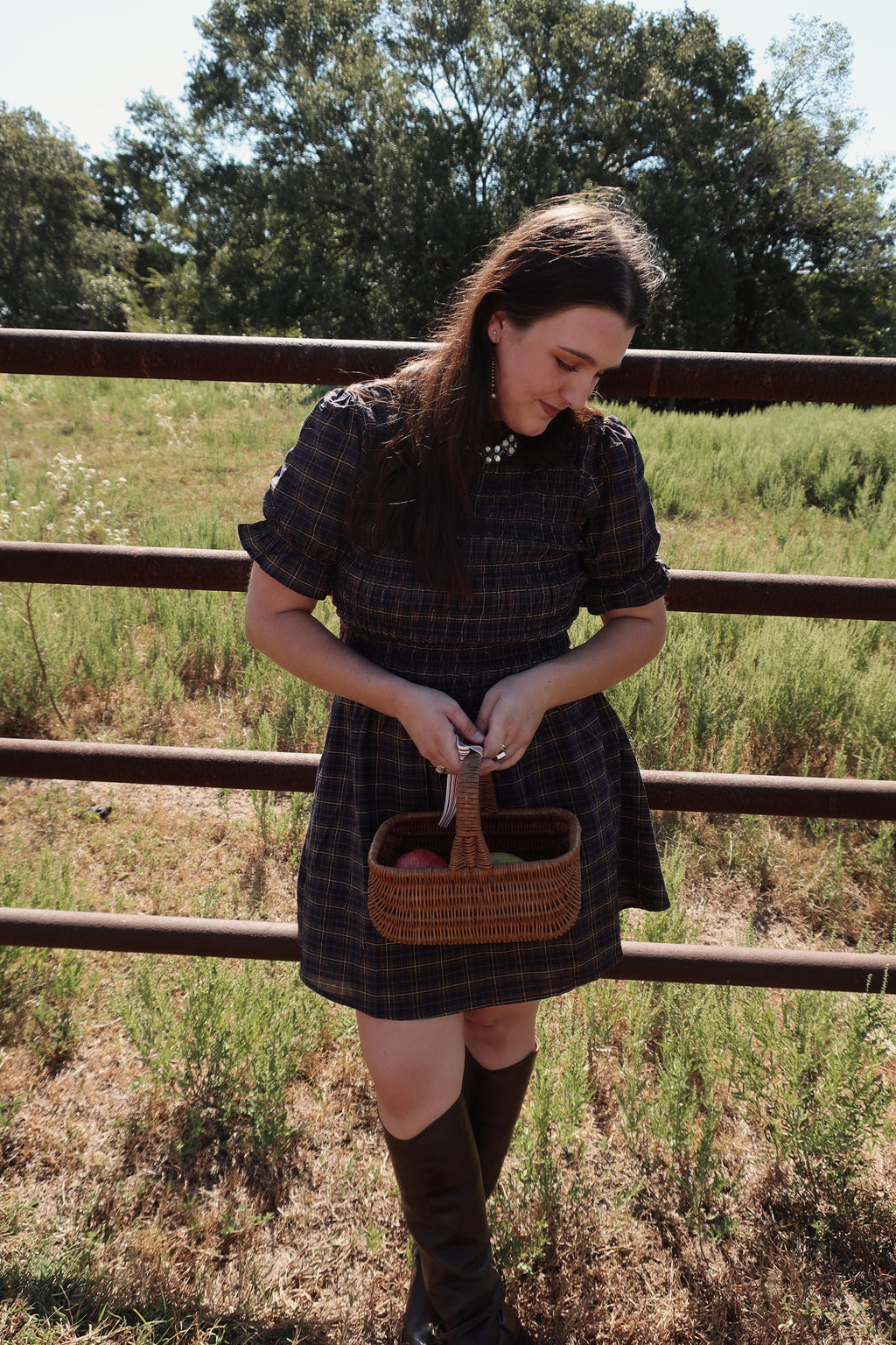 Cottonwood Plaid Mini Dress