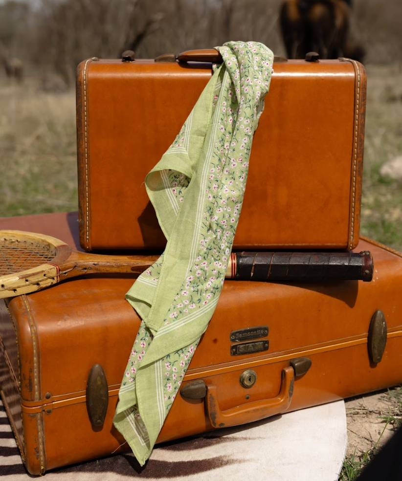 The Springsteen Wild Rags