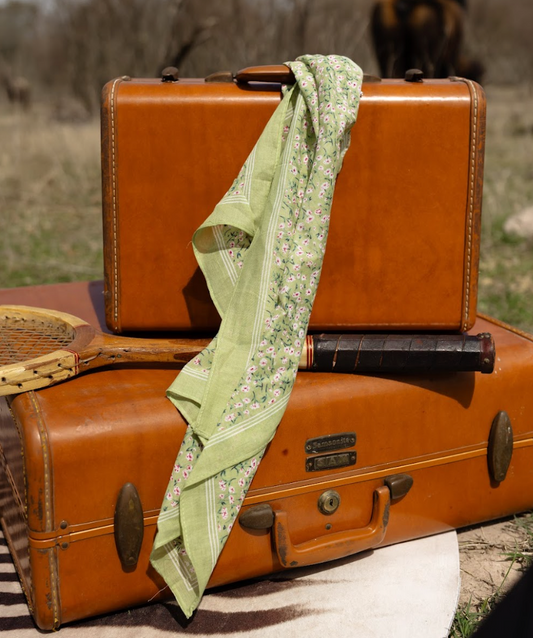 The Springsteen Wild Rags
