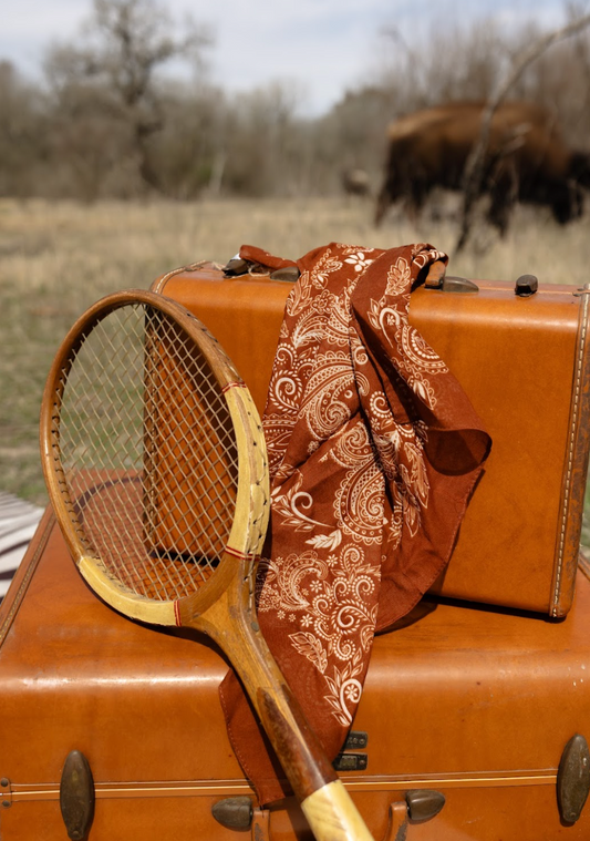 The Paisley Bandana